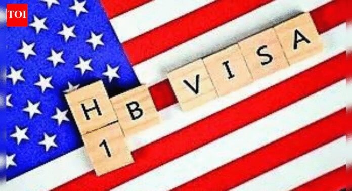 MEA flags expansion of H-1B review | India News