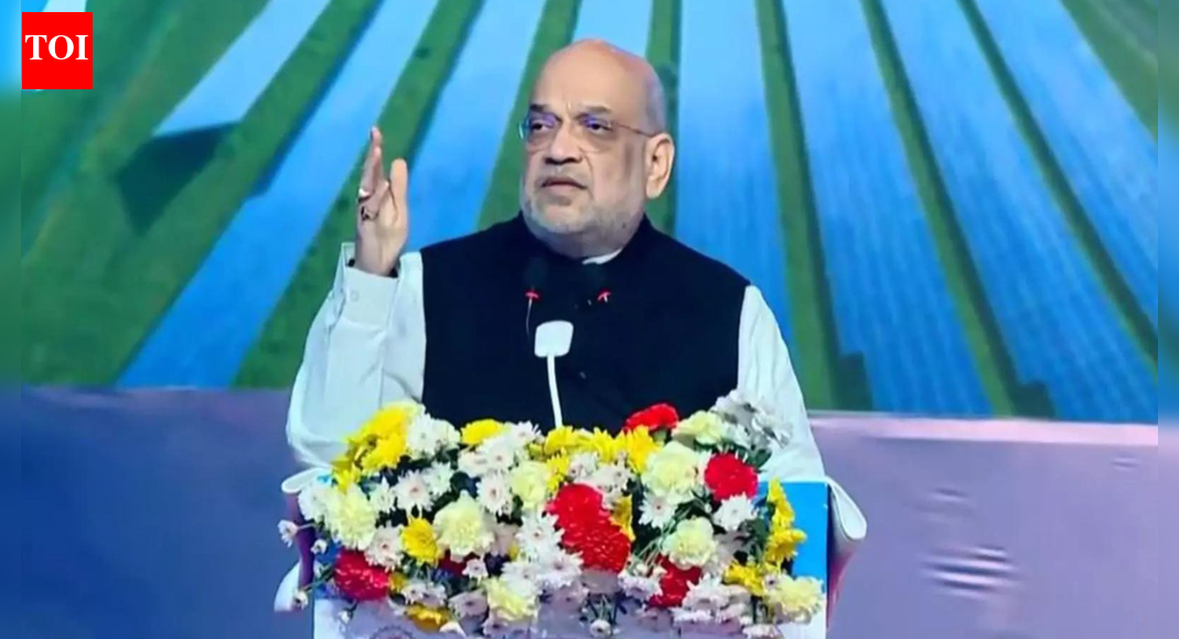 'Made strong entry': Amit shah hails semiconductor sector's growth despite being 'bit late'; confident of 'exports soon'