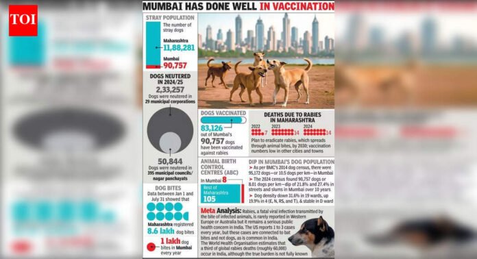 Maharashtra has 12L stray dogs, Mumbai 90k, DCM Shinde tells house | Mumbai News