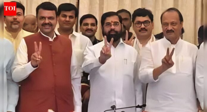 Mahayuti sweeps Phase 1 of Maharashtra local body polls | India News