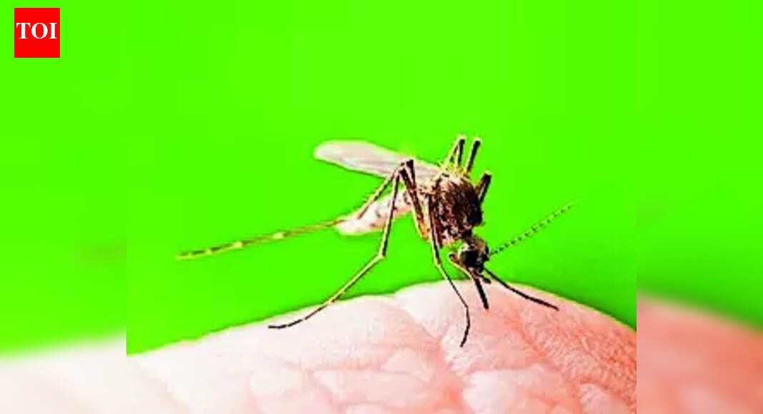 Malaria now limited to pockets in Mizoram, Tripura as India nears elimination | India News