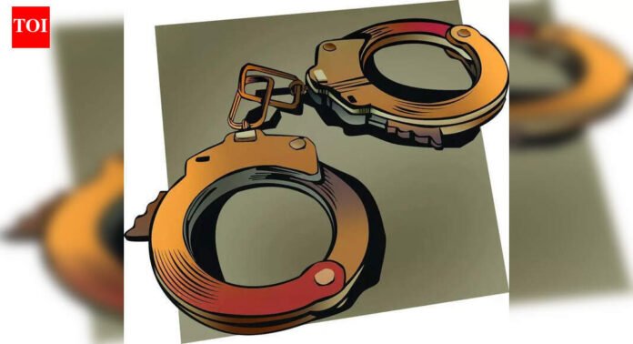 Mob attacks Assam cops, frees man held for pro-Pahalgam post | India News