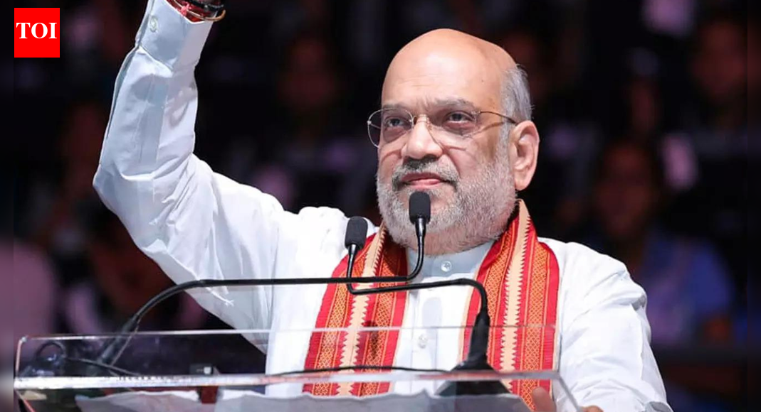 Modi government brought peace to J&K, NE, Naxal-hit areas: Home minister | India News