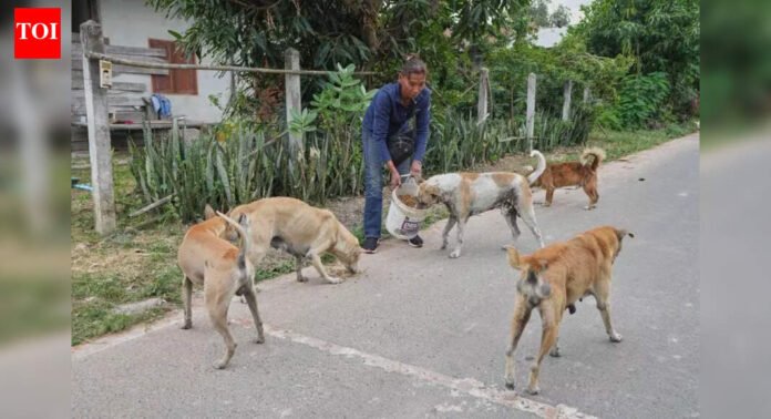 Mumbai: Activists say they will form animal lovers party if cruelty does not end | Mumbai News