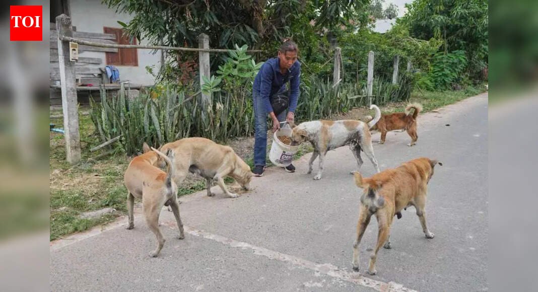 Mumbai: Activists say they will form animal lovers party if cruelty does not end | Mumbai News