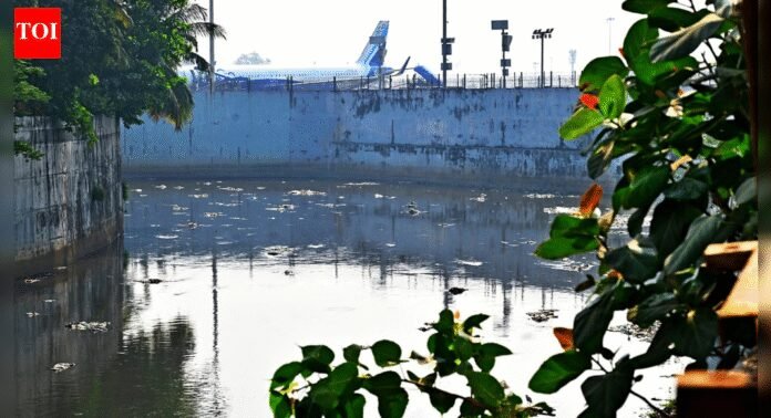 Mumbai’s Mithi river revival: Experts warn engineering push alone won’t end decades of sewage and pollution | Mumbai News