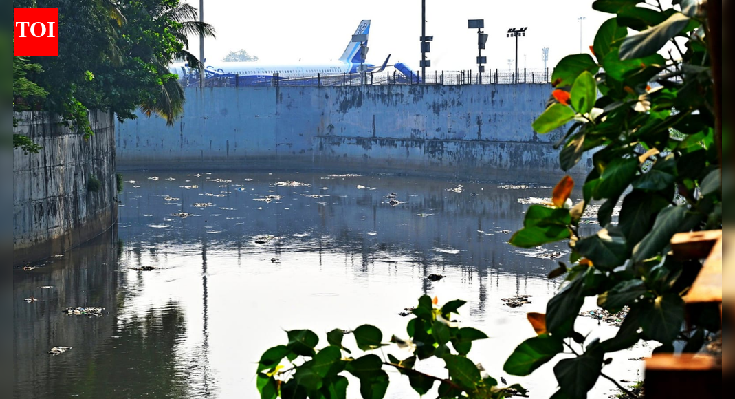 Mumbai’s Mithi river revival: Experts warn engineering push alone won’t end decades of sewage and pollution | Mumbai News