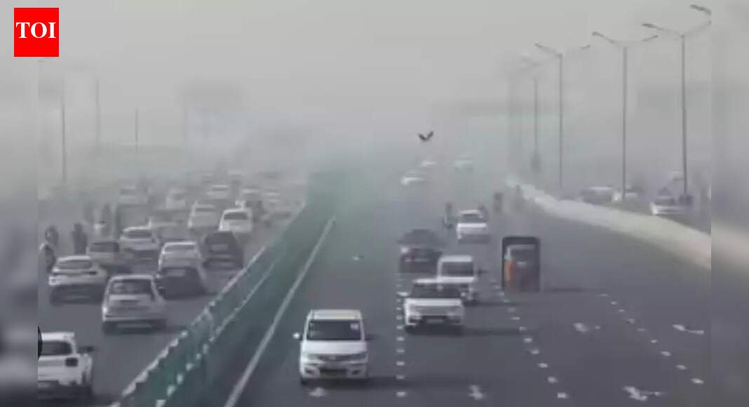 No entry for non-Delhi private vehicles below BS-6 till Grap 3 in force: Sirsa | India News