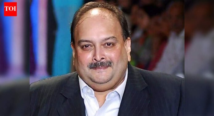 PNB bank scam: Belgium court rejects Mehul Choksi's appeal; extradition process to India 'to begin soon'