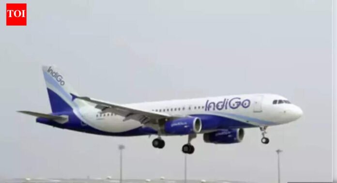 Panel questions IndiGo, DGCA babus, gets 'unconvincing' replies | India News