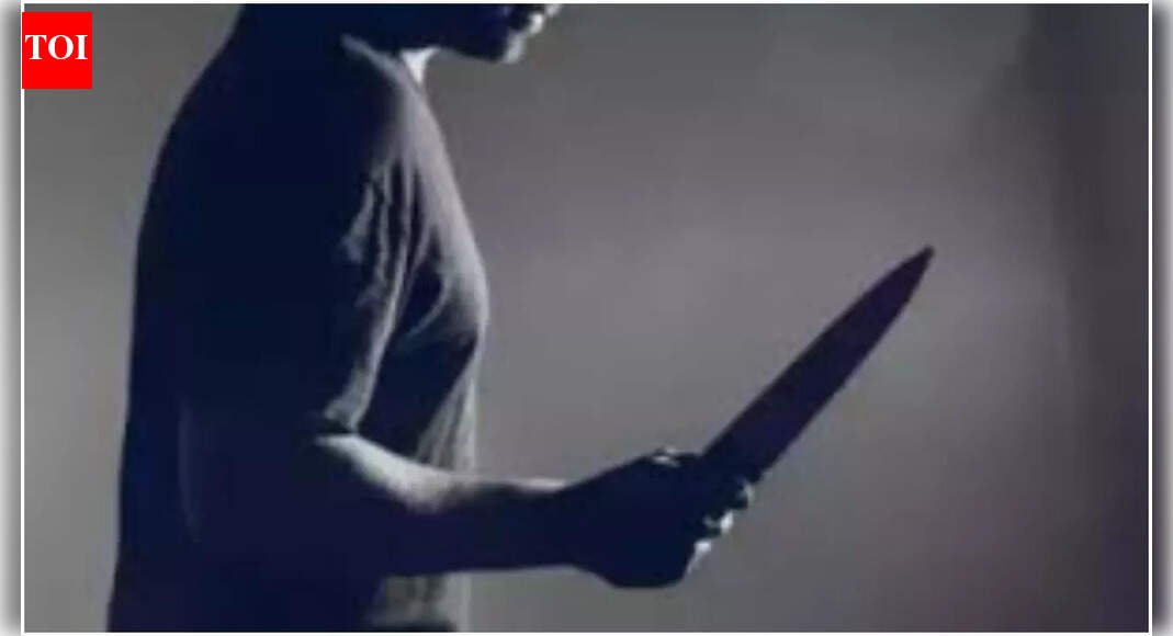 Paris metro stabbing: Knife-wielding man stabs three women; suspect arrested