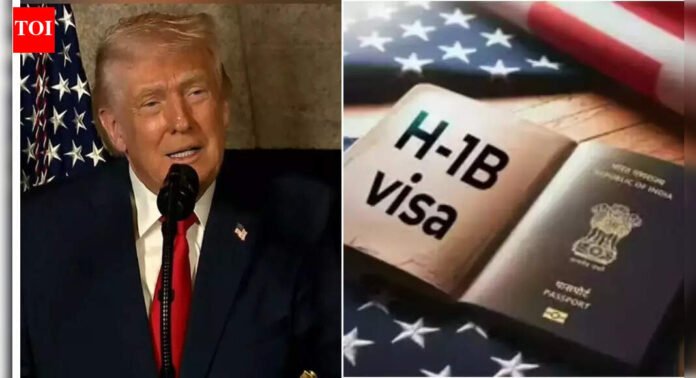'Policy decision': US judge refuses to scrap Trump’s $100,000 H-1B visa fee; move to curb immigration