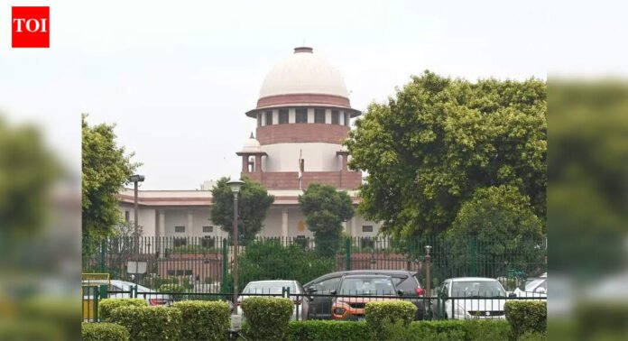 Poll results out, but Mahayuti and MVA await Supreme Court verdict on fate of 57 local bodies in Maharashtra | Mumbai News