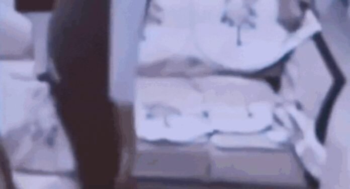 Punjab NRI Death: NRI dies after pistol in waist misfires in Punjab's Fazilka district | Chandigarh News