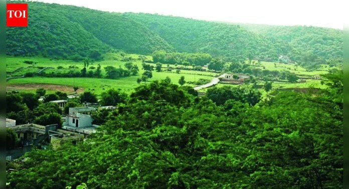 Rajasthan: Over 1,230 mine leases exist across Aravalis in the state; Rajsamand district alone accounts for over 540 | India News