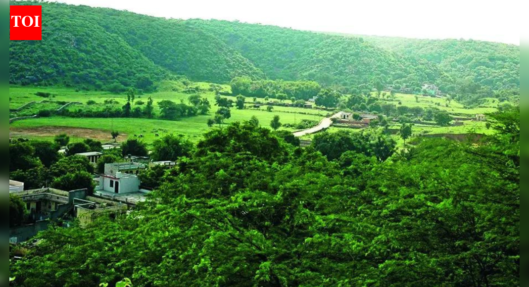 Rajasthan: Over 1,230 mine leases exist across Aravalis in the state; Rajsamand district alone accounts for over 540 | India News