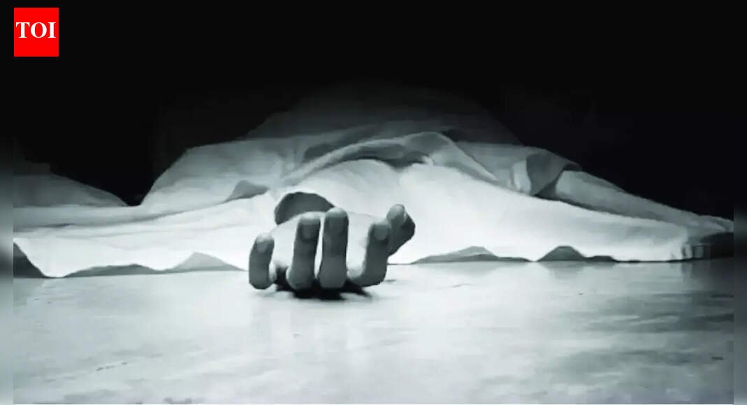 Rajasthan: Tank sinks in canal during Army drill; jawan killed | India News