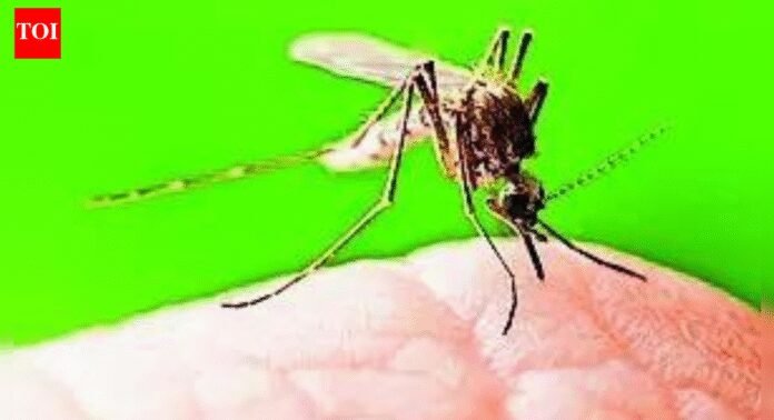 'Result of institutional strength': India logs steep decline in TB, malaria and maternal deaths; Nadda hails people’s participation | India News