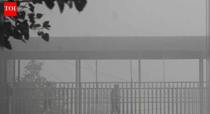 Rich’s reluctance to change lifestyle a major reason for pollution, says SC | Delhi News