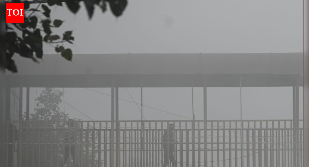 Rich’s reluctance to change lifestyle a major reason for pollution, says SC | Delhi News