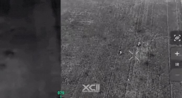'Russians losing equipment quickly': Ukrainian drone strikes soldier riding horse on battlefield - watch video