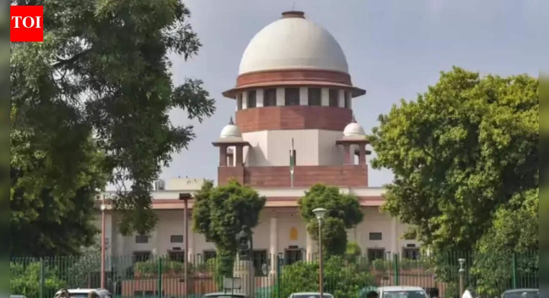 SC: Gangsters jump state to dodge arrest, need one agency for entire NCR | India News