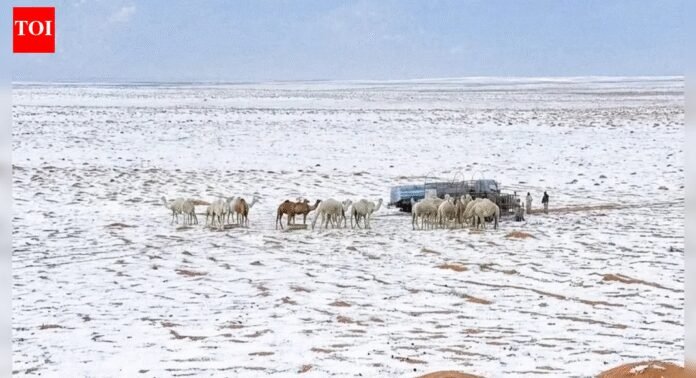 Saudi Arabia sees rare snowfall after 30 years, desert mountains turn into winter wonderland | World News