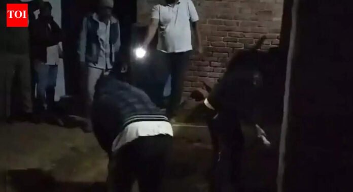 Shamli Murder News: 'Left without wearing burqa': UP man kills wife and 2 daughters, buries them at home | Meerut News