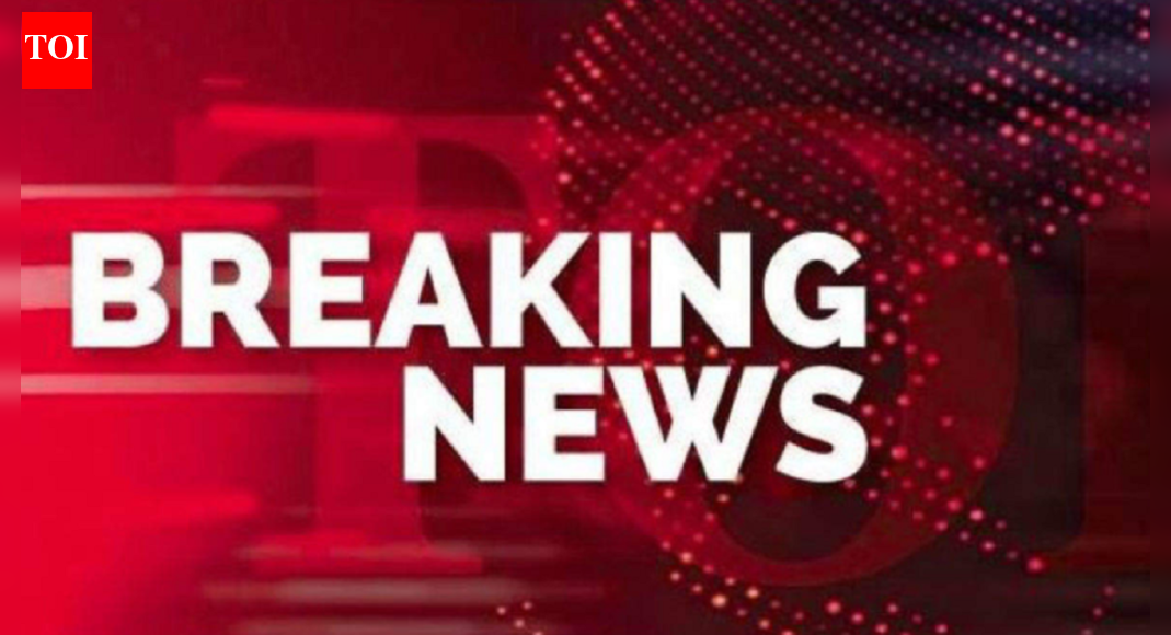 South Africa shooting: 10 killed as gunmen open fire; probe under way