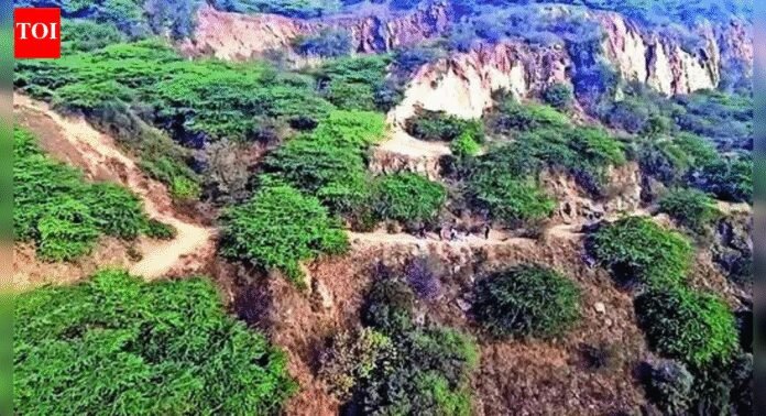 Supreme Court saved Aravalis for 20 years, and PMO on two occasions | India News