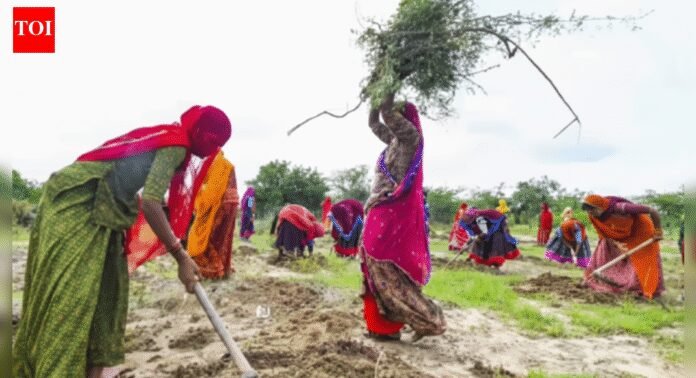 The new logic of rural welfare: Why VB-G RAM G makes sense for a $4 trillion economy | India News