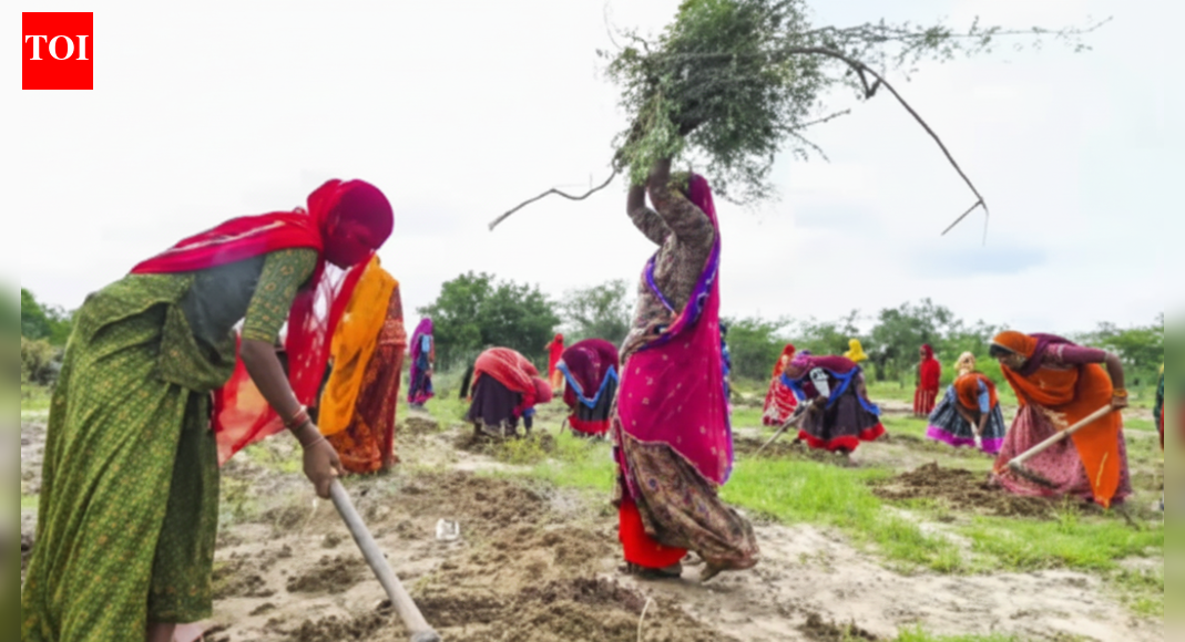 The new logic of rural welfare: Why VB-G RAM G makes sense for a $4 trillion economy | India News