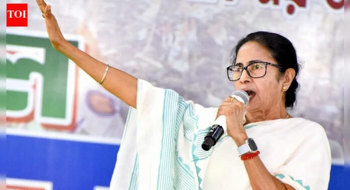 'This is a disaster': Mamata Banerjee targets BJP over IndiGo fiasco; cites passenger agony | India News