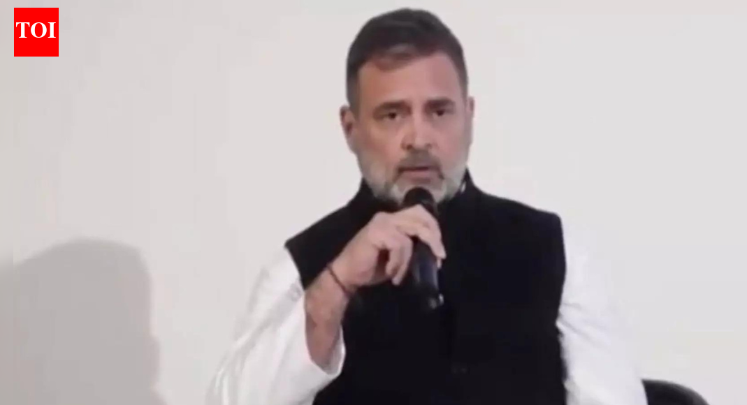 'Threatening anarchy': BJP hits out at Rahul's 'democracy' remark in Berlin; accuses him of 'wanting chaos' | India News