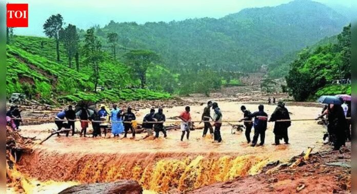 Top 10 extreme weather events cost world more than $122 billion in 2025: Rainfall in India, Pakistan claimed 1,860 lives - report | India News