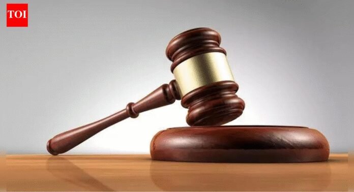 Trial court erred: Allahabad high court; man freed after 24 years in jail | India News