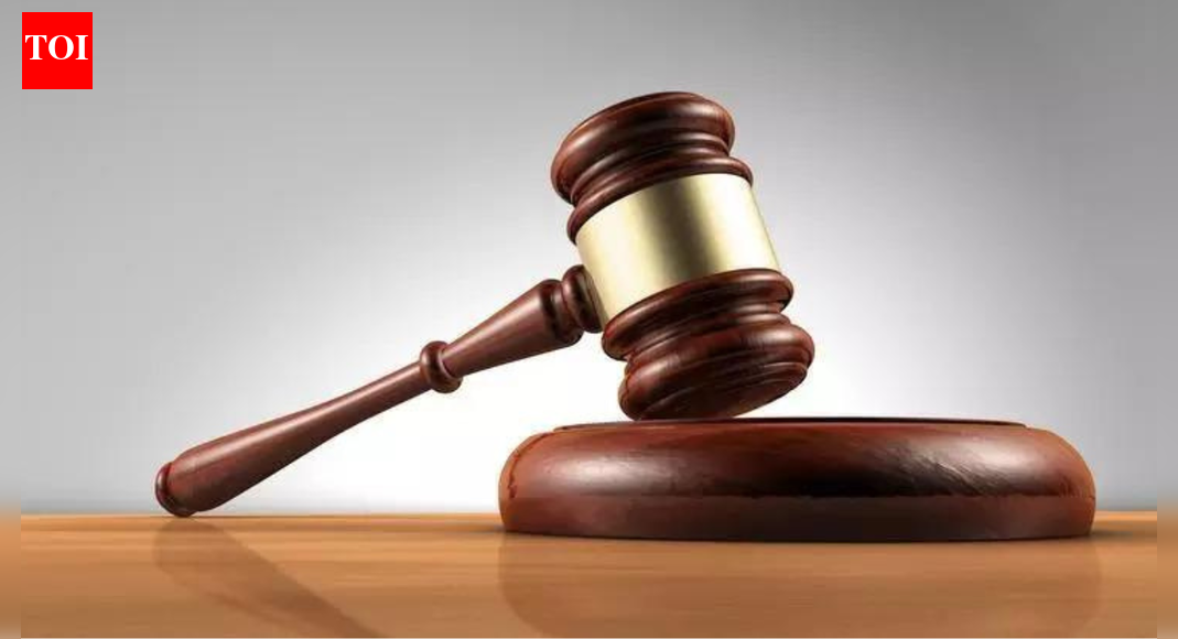 Trial court erred: Allahabad high court; man freed after 24 years in jail | India News