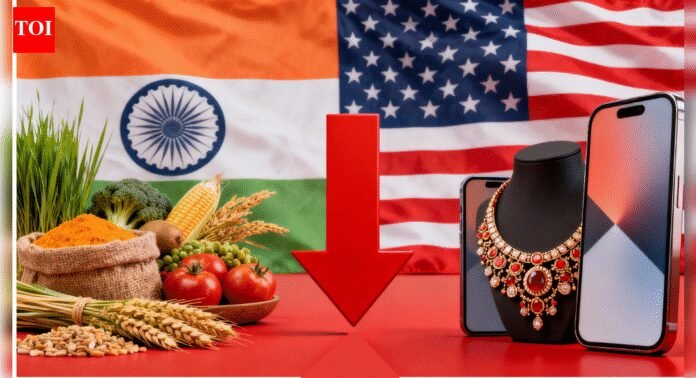 Trump tariff impact: India's exports to US down 28.5% in 5 months; key sectors battered