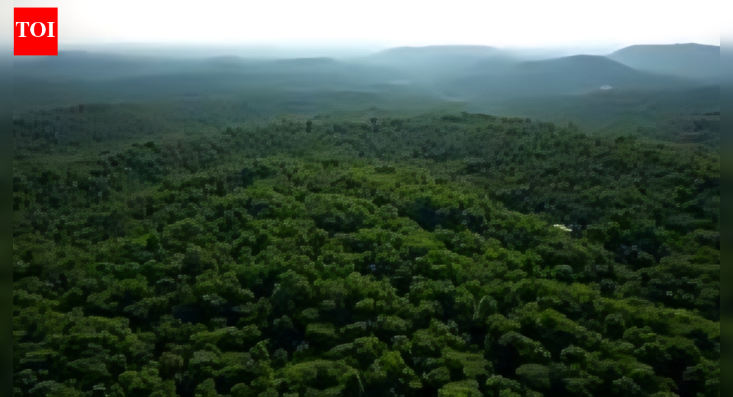 Uttarakhand mute spectator to grabbing of forest land: Supreme Court | India News
