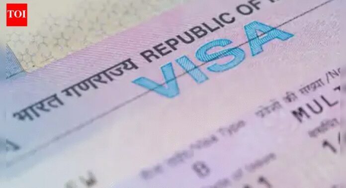 Visa reform: Govt streamlines e-visa process for foreign professionals needed by Indian firms; DPIIT launches digital module