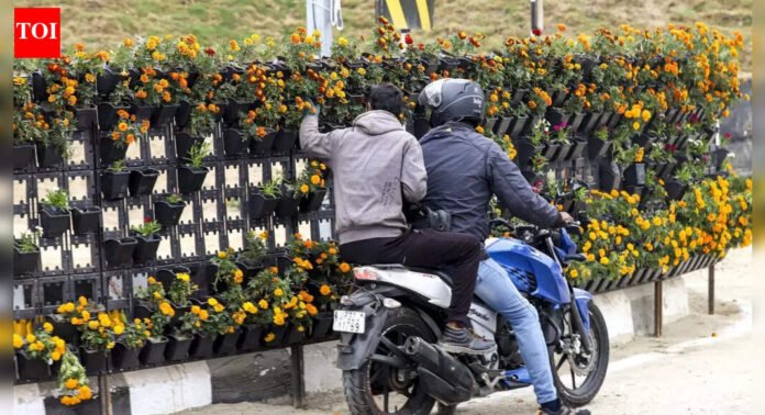 Watch: 7k flower pots looted after PM Modi opens Rashtra Prerna Sthal in UP; 30 security personnel deployed | Lucknow News
