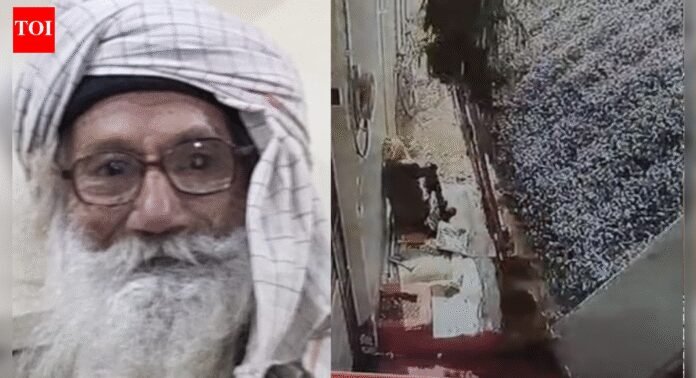 Watch: Sitting outside home, 92-year-old killed as gravel dumper overturns on him in MP; driver flees | Bhopal News