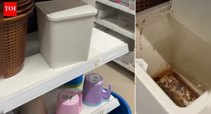 Watch: Video goes viral of gutka-stained dustbin on sale in Kanpur store; netizens point at lack of civic sense | India News