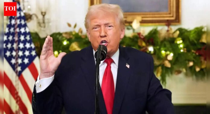 'We made a lot more money ... ': Trump says tariffs are paying US military $1,776 'warrior dividend'— here is how