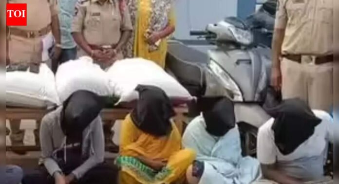 'Were sending consignments into Sri Lanka': How Bengaluru techie became Andhra’s ‘lady don’; arrested for supplying 'Sheelavathi strain' | Bengaluru News