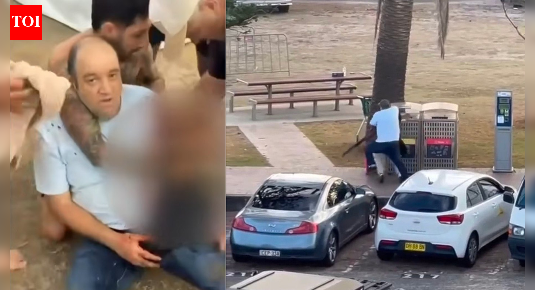 Who is Ahmed al Ahmed? Fruit seller who disarmed Bondi Beach shooter with bare hands