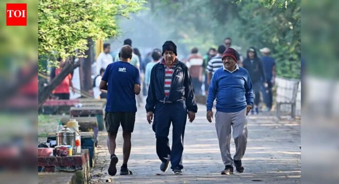 Winter chill persists in Mumbai despite brief rise in temperature | Mumbai News