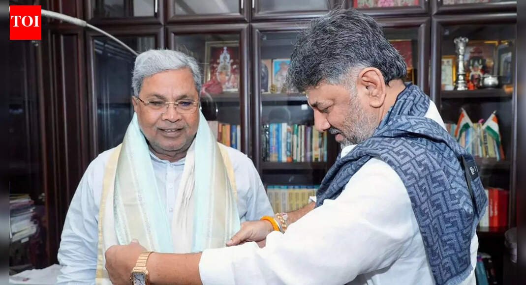 'You are missing something in life': Karnataka CM to 'pure' vegetarian reporter | Bengaluru News
