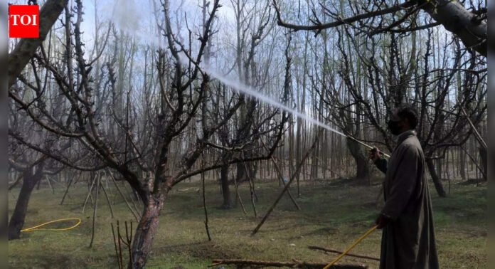 ‘An apple a day’ — but at what cost? Kashmir's orchards raise health alarm | Srinagar News