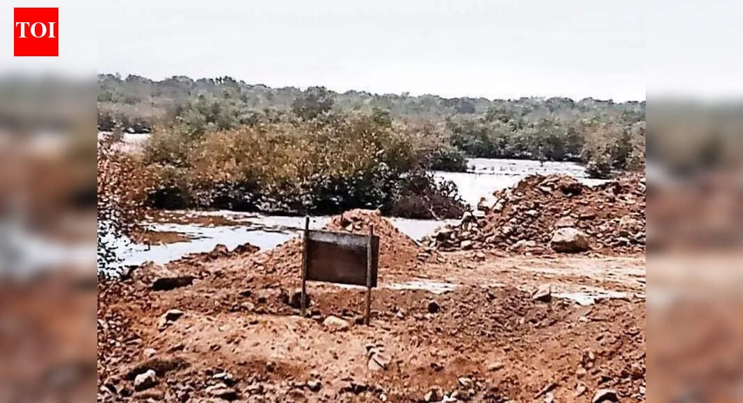 ‘Debris dumping destroyed 160 acres of mangroves in Raigad, Thane & Palghar’ | Mumbai News